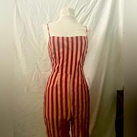 NWT Flynn Skye vertical striped jumpsuit w/tie back SZ S - Picture 2 of 11